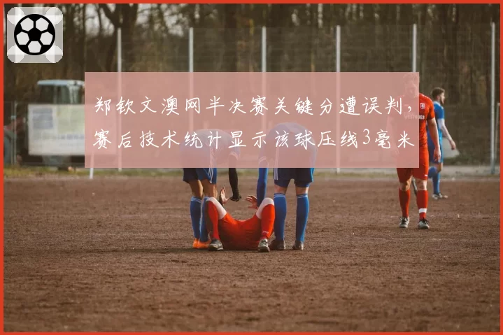 郑钦文澳网半决赛关键分遭误判，赛后技术统计显示该球压线3毫米