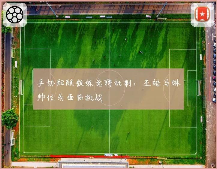 乒协酝酿教练竞聘机制，王皓马琳帅位或面临挑战